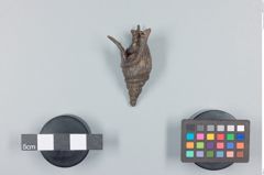 Foto (Seitenansicht) von buddistisches Amulett 4 (NHMW-ZOO-MO-0081100-ETH-114)